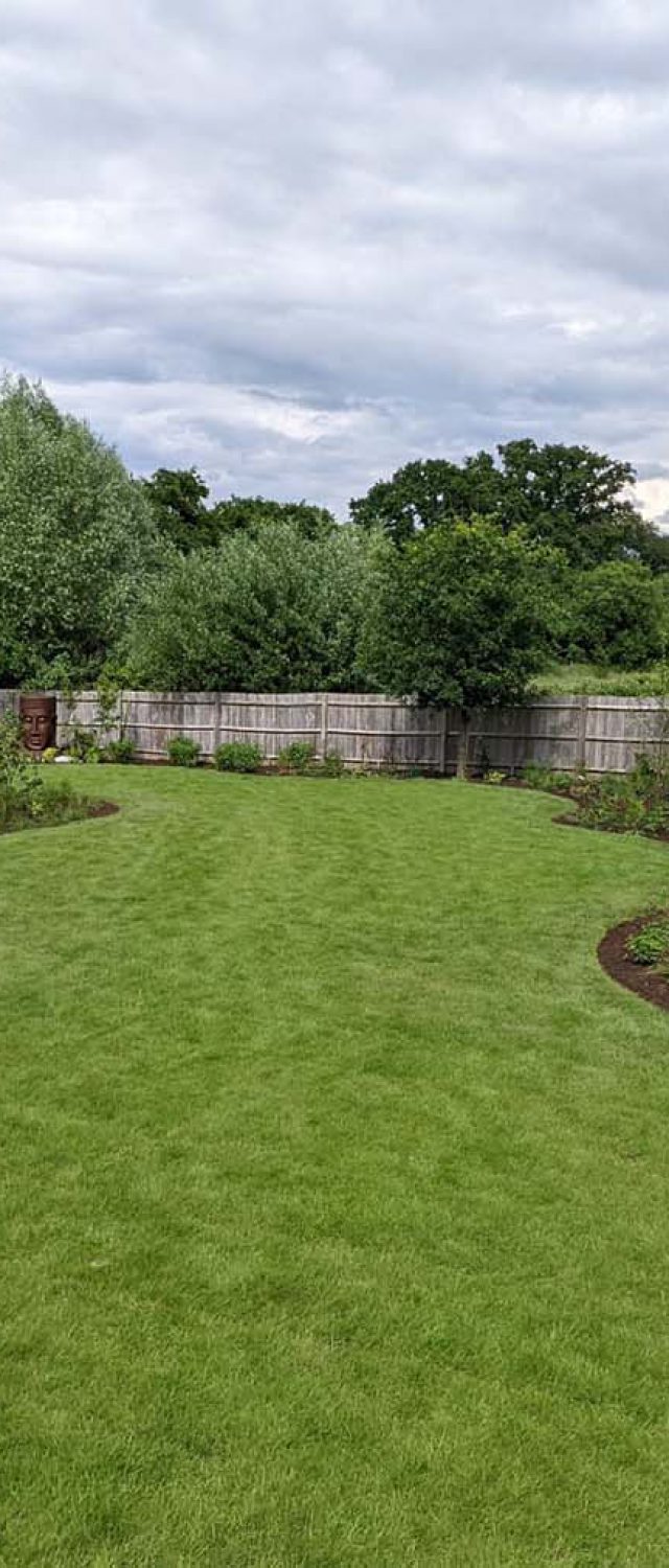 back garden design