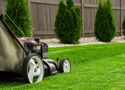 spring garden maintenance