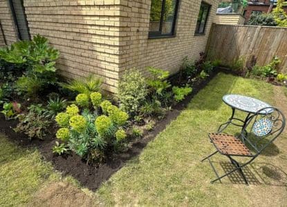 best plants for surrey
