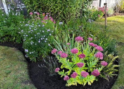summer planting