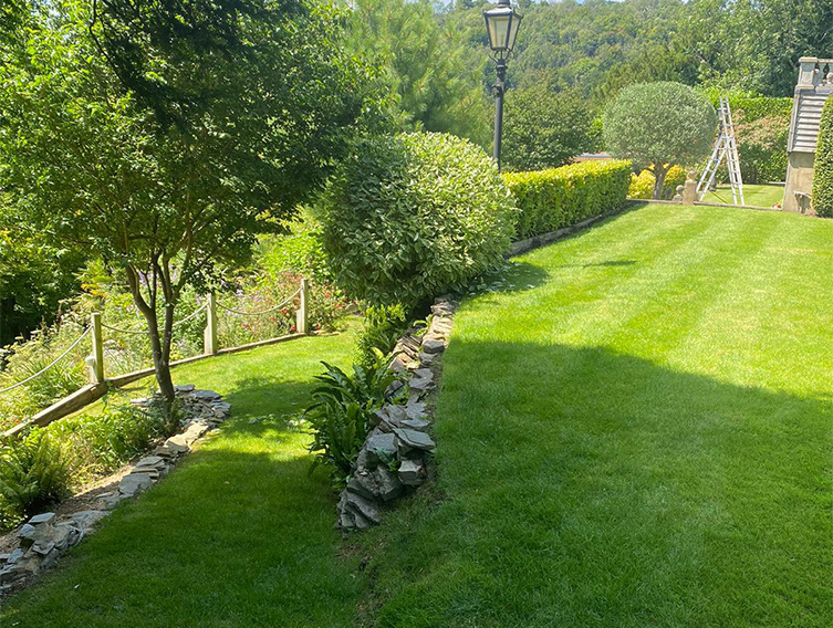 garden-maintenance-reigate-8